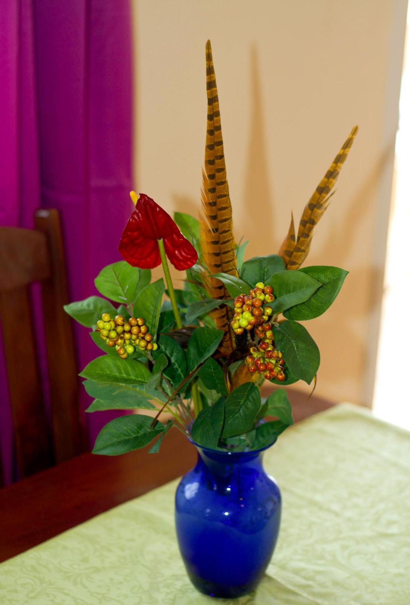 La Heliconia & Day Spa St. George's Ngoại thất bức ảnh